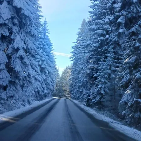 Sowie Wzgorze 펜션 Piorunka