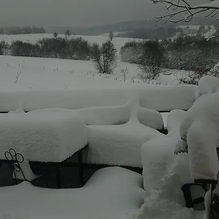 Sowie Wzgorze Krynica-Zdrój
